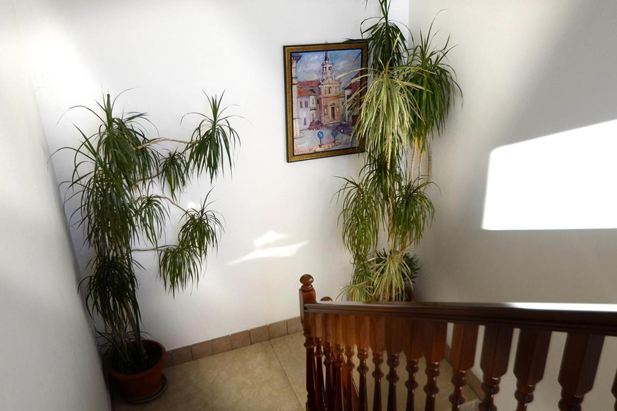 Apartment Affitto Breve Rovigo La Casa Sul Fiume Di Nadine Guarda Veneta
