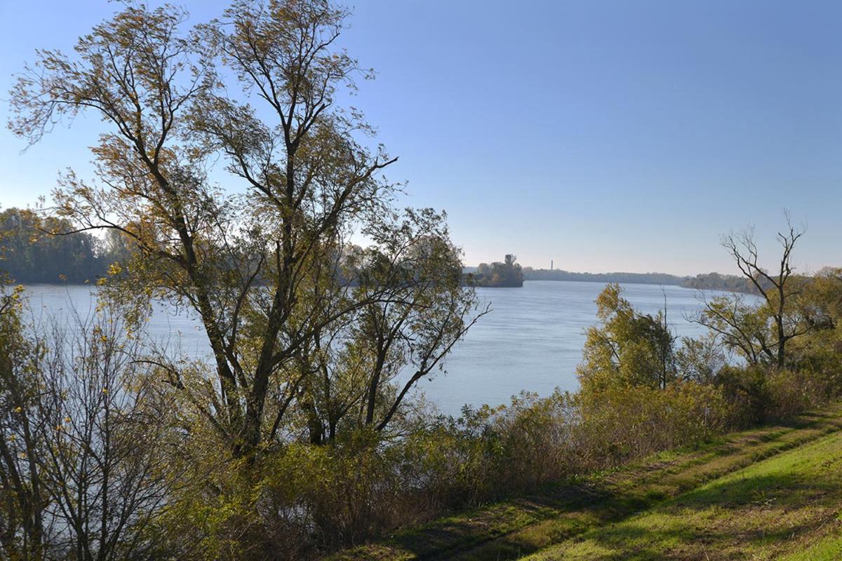 Affitto Breve Rovigo La Casa Sul Grande Fiume Po Di Nadine Appartement