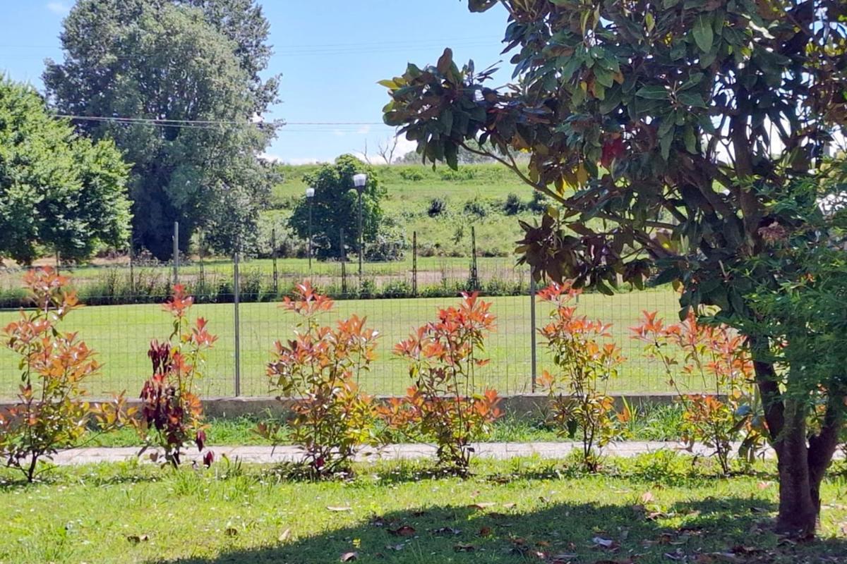 Affitto Breve Rovigo La Casa Sul Grande Fiume Po Di Nadine Appartement *